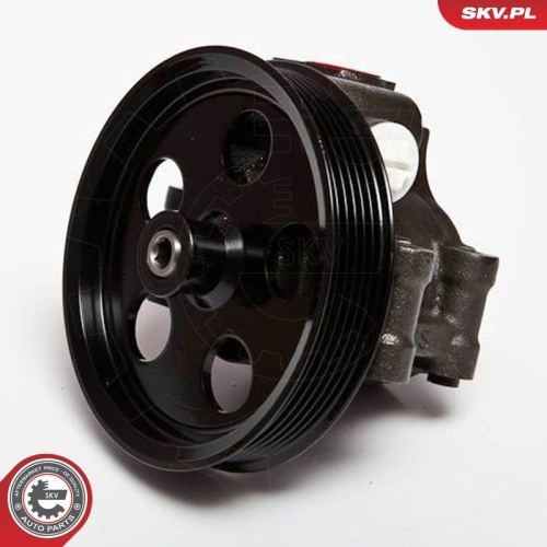 ESEN SKV Hydraulikpumpe, Lenkung 10SKV067