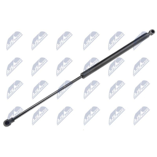 NTY Gasfeder, Heckscheibe AE-PE-016