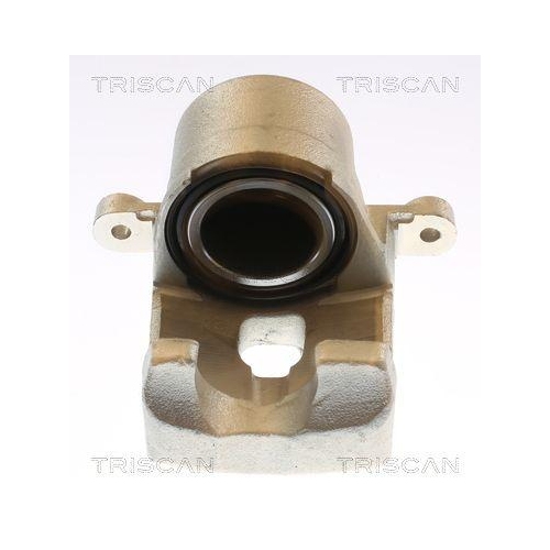 TRISCAN Bremssattel 8175 13120