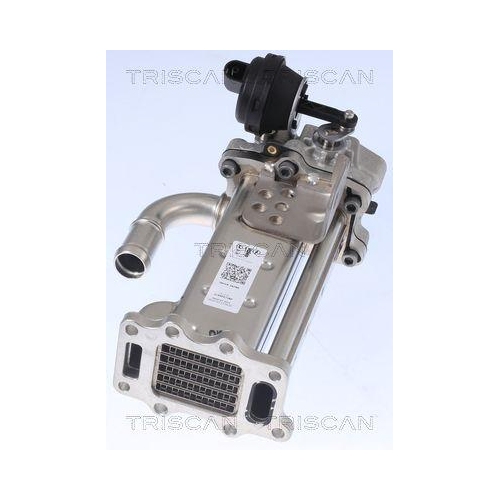 TRISCAN K&uuml;hler, Abgasr&uuml;ckf&uuml;hrung 8813 43104