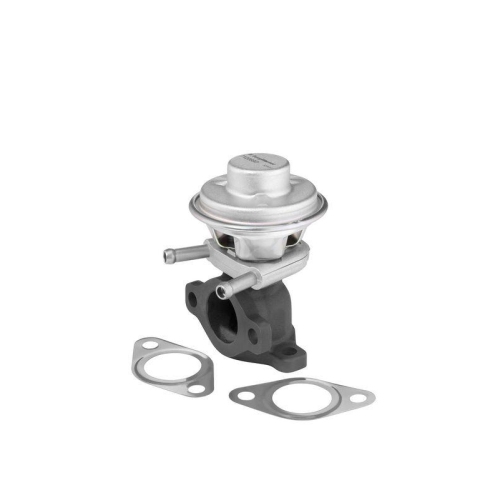 BorgWarner AGR-Ventil 712069D