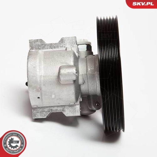 ESEN SKV Hydraulikpumpe, Lenkung 10SKV069