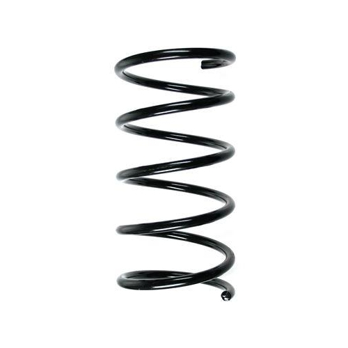 SPIDAN Fahrwerksfeder 55532