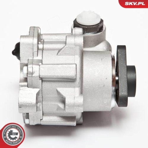 ESEN SKV Hydraulikpumpe, Lenkung 10SKV072