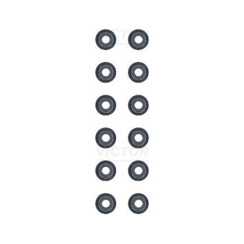 VICTOR REINZ Dichtungssatz, Ventilschaft