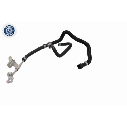 VAICO K&uuml;hlerschlauch Q+, Erstausr&uuml;sterqualit&auml;t