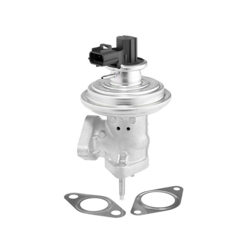 BorgWarner AGR-Ventil 712071D