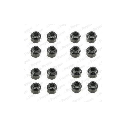 PAYEN Dichtungssatz, Ventilschaft HR5048