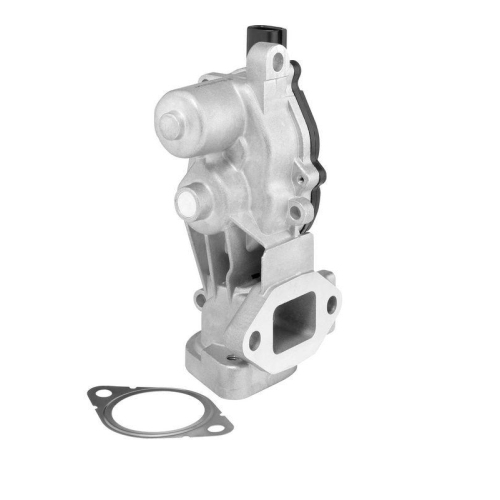 BorgWarner AGR-Ventil 712074D