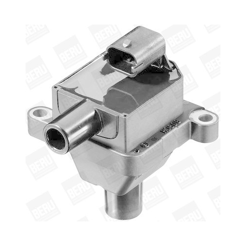 BorgWarner (BERU) Z&uuml;ndspule ZS309