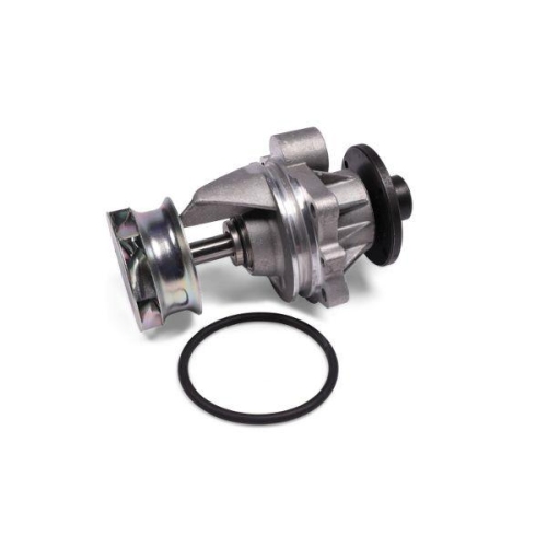 HEPU Wasserpumpe, Motork&uuml;hlung P429