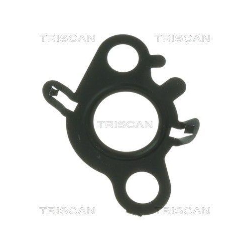 TRISCAN Dichtung 8813 99202