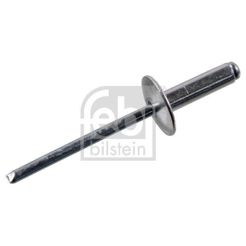 FEBI BILSTEIN Blindniet febi Plus 199901