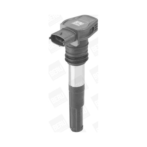 BorgWarner (BERU) Z&uuml;ndspule ZSE128