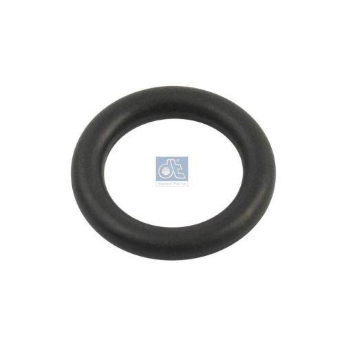 DT Spare Parts Dichtring 1.24301