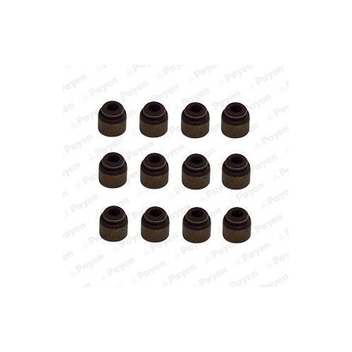 PAYEN Dichtungssatz, Ventilschaft HR5133