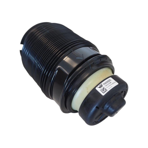 CORTECO Luftfeder, Fahrwerk 49430414
