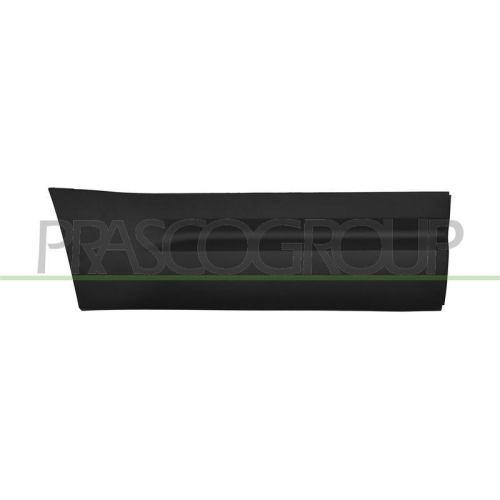 PRASCO Zier-/Schutzleiste, T&uuml;r LR1041453