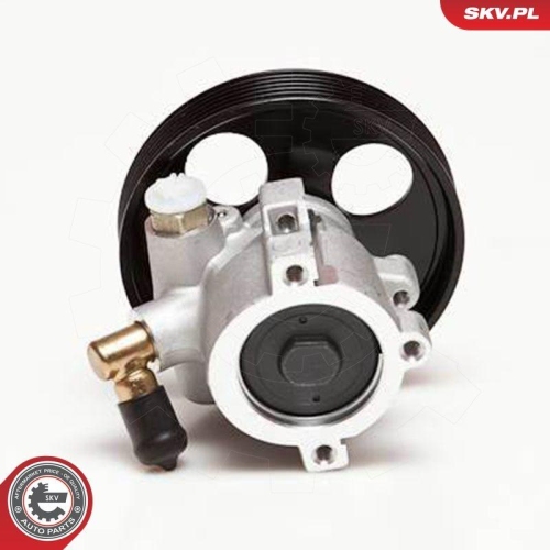 ESEN SKV Hydraulikpumpe, Lenkung 10SKV086