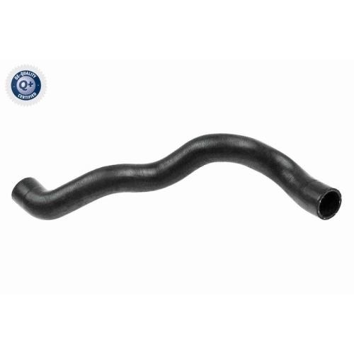 VAICO K&uuml;hlerschlauch Q+, Erstausr&uuml;sterqualit&auml;t