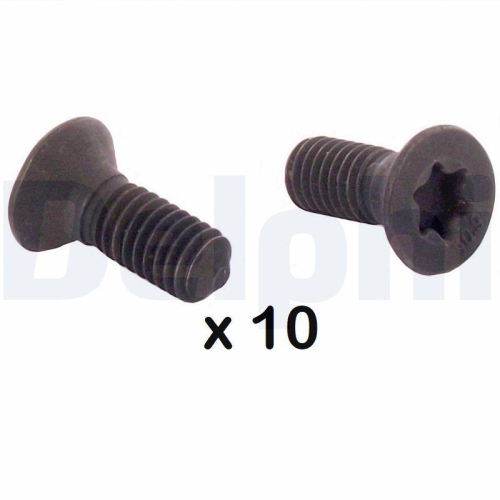 DELPHI Schraube, Bremsscheibe BGK010