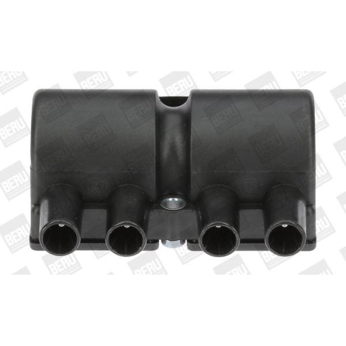 BorgWarner (BERU) Z&uuml;ndspule ZS545