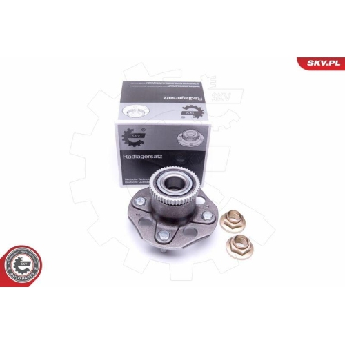 ESEN SKV Radlagersatz 29SKV291