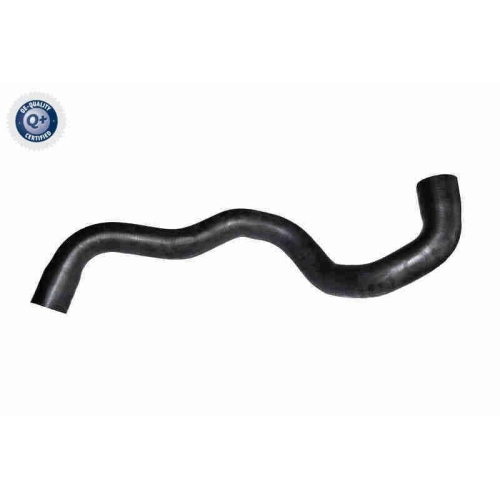 VAICO Kühlerschlauch Q+, Erstausrüsterqualität
