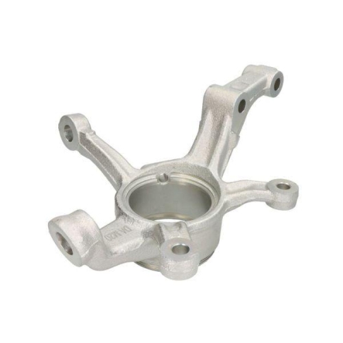 REINHOCH Achsschenkel, Radaufhängung RH08-3013