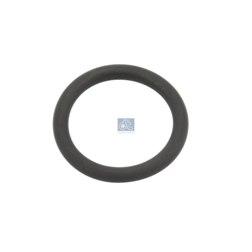 DT Spare Parts Dichtring 1.24306