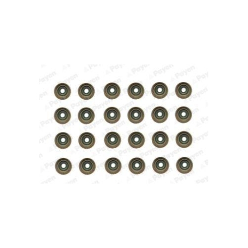 PAYEN Dichtungssatz, Ventilschaft HR5121