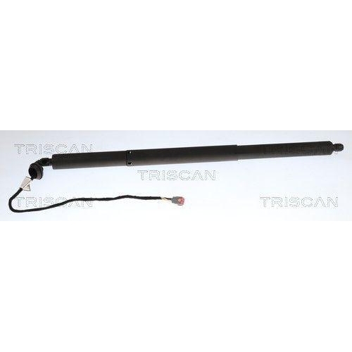 TRISCAN Gasfeder, Koffer-/Laderaum 8710 16317