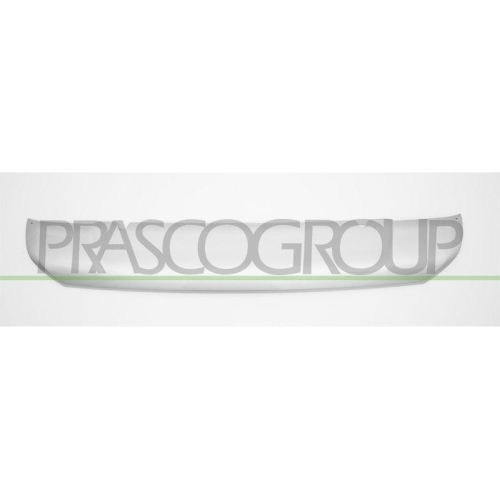 PRASCO Zier-/Schutzleiste, Sto&szlig;f&auml;nger MB8241245