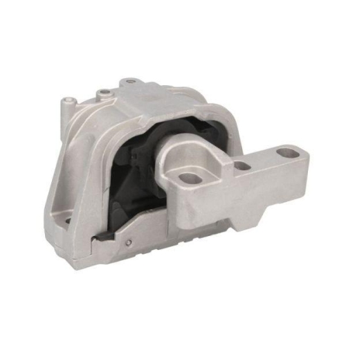 REINHOCH Lagerung, Motor RH11-0066