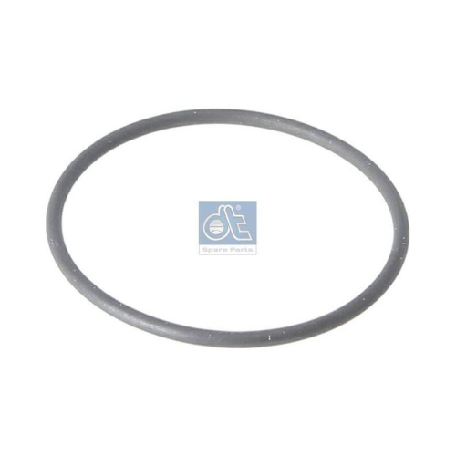DT Spare Parts Dichtring 1.24315