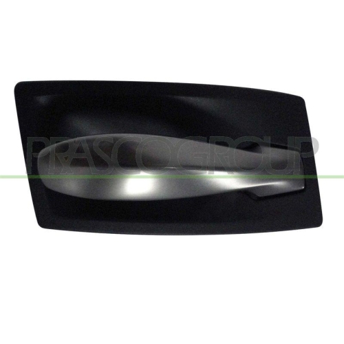 PRASCO T&uuml;rgriff, Innenausstattung BM0468407