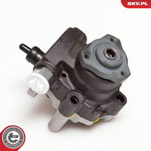 ESEN SKV Hydraulikpumpe, Lenkung 10SKV094
