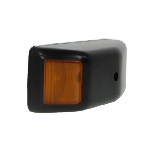 TRUCKLIGHT Blinkleuchte CL-RV003