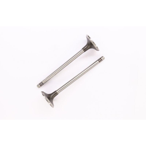 CORTECO Einlassventil 552159B