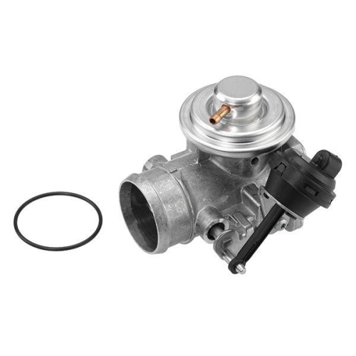 BorgWarner AGR-Ventil 7223D