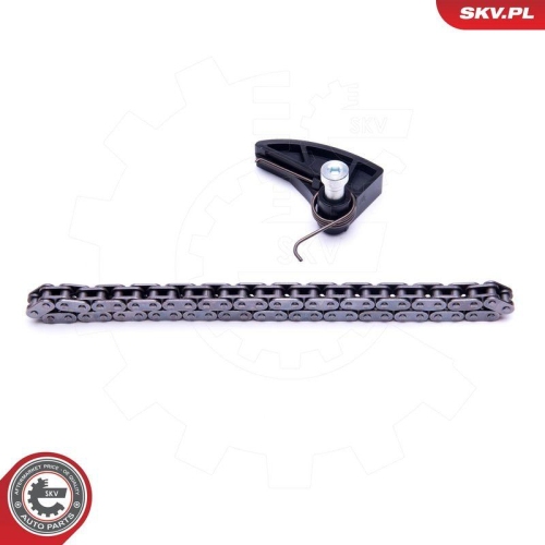 ESEN SKV Kettensatz, &Ouml;lpumpenantrieb 21SKV108