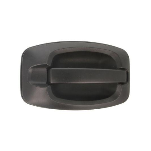 BLIC T&uuml;rau&szlig;engriff 6010-07-038402P