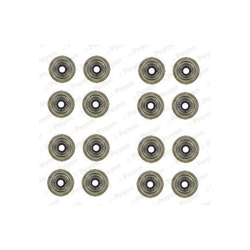 PAYEN Dichtungssatz, Ventilschaft HR752