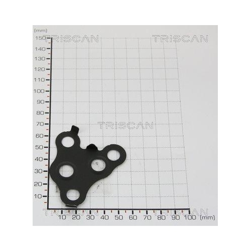 TRISCAN Dichtung 8813 9920