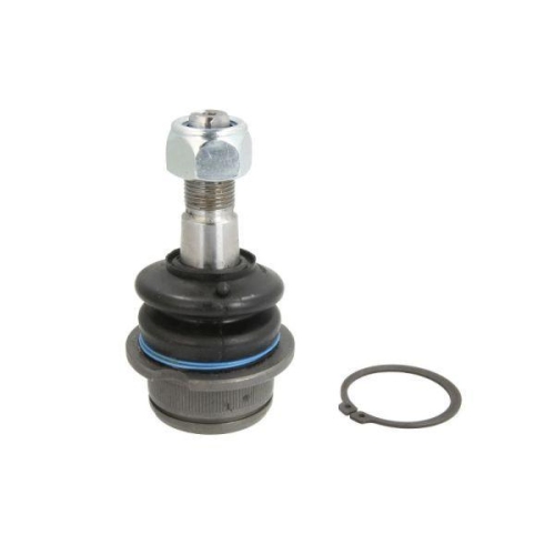 REINHOCH Trag-/Führungsgelenk RH03-0030