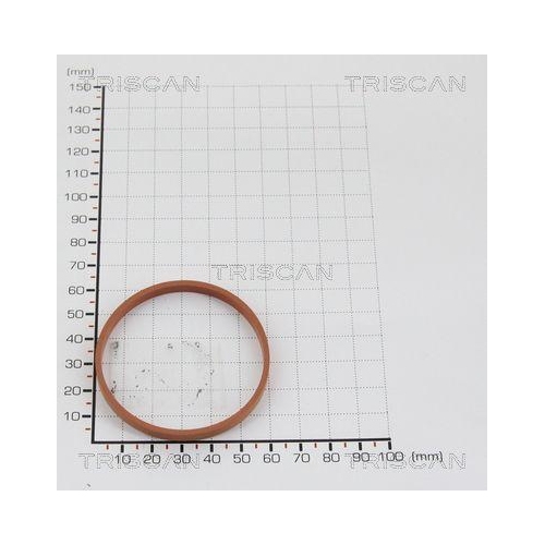 TRISCAN Dichtung 8813 9939