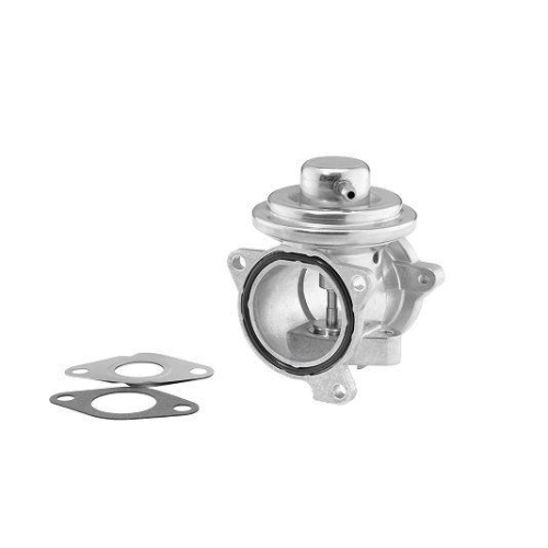 BorgWarner AGR-Ventil 7271D