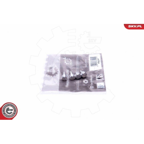 ESEN SKV Reparatursatz, Saugrohrmodul 49SKV547