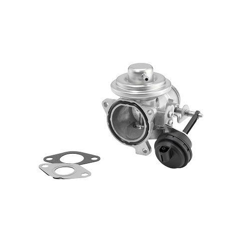 BorgWarner AGR-Ventil 7283D