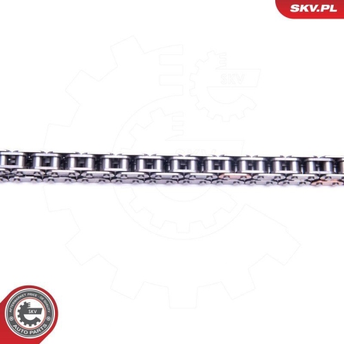 ESEN SKV Steuerkettensatz 21SKV113